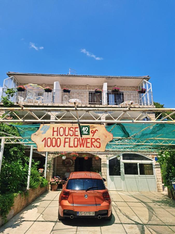 Apartments 1000 Flowers Stari Grad  Exteriör bild